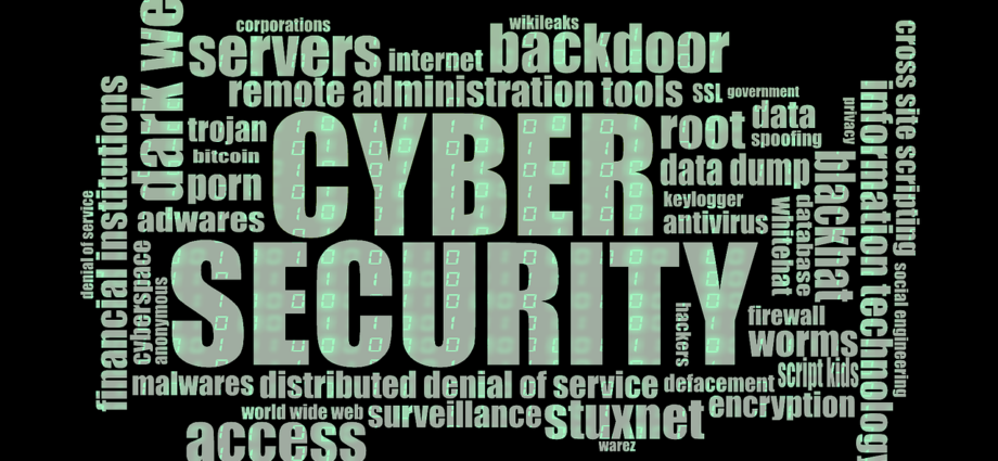 Die Bedeutung von Cyber-Sicherheit im Beruf